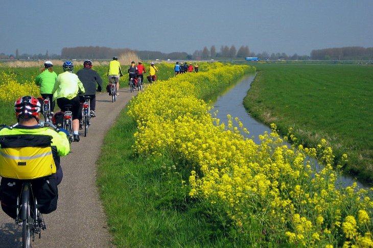 Bike and Boat Holland: Flowers and the Green Heart of Holland